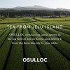 Osulloc Tropical Black Tea (Tropical Mango & Peach Flavor), Premium