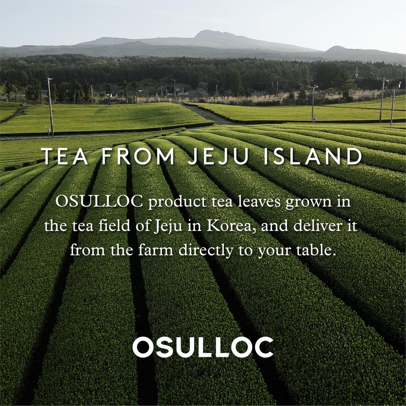 Osulloc Tropical Black Tea (Tropical Mango & Peach Flavor), Premium