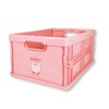 Tee's Factory Kirby Star Character Container Kirby/Face HK-5542510KF