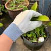 DAYKET Cowhide Gardening Work Gloves