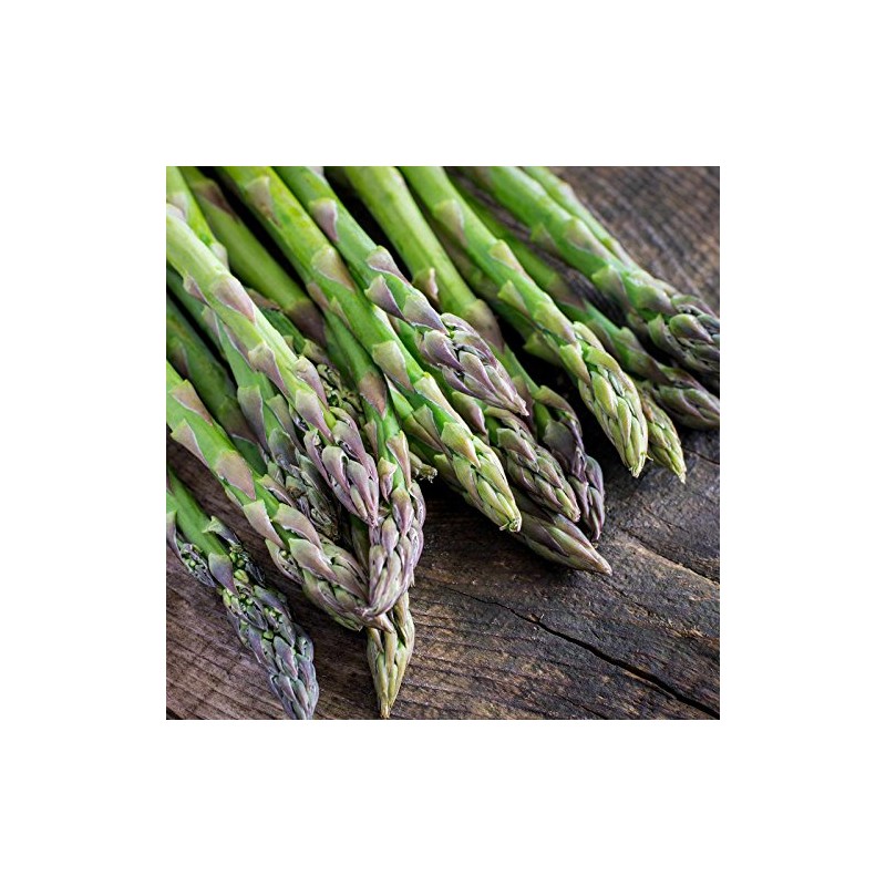 Asparagus Vegetable Garden Seeds - Mary Washington - 1 Lb