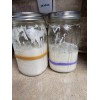 Cherished & Free SOURDOUGH STARTER, Freeze Dried, Powdered 50 grams