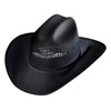 STARS & STRIPES Ashton Straw Sun Hat Western Hat Beach