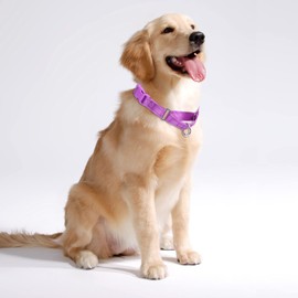haoyueer Martingale Dog Collars - Reflective Dog Collar with Quick Release Buckle Adjustable Nylon Training D Solution for Large, Medium, and Small Dogs (L, Purple)