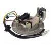 BMP Stator Magneto For Apollo DB-X18 DBX18 125cc Dirt Bike