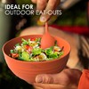 Wheat Straw Dinnerware Sets For 4 - Camping Plates Cups