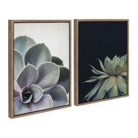 Kate and Laurel Sylvie Succulent 5 and Succulent 8 Framed Canvas Wall Art Set by Emiko and Mark Franzen of F2Images, 2 Piece Set 18x24 Gold, Modern Botanical Wall Décor