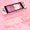 Switch Pink Accessories, Switch Pink Carrying Case, Switch Pink Protective
