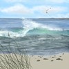 Box of 20 Notecards - Sea Views by Jane Askey