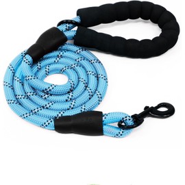 Heavy Duty Rope Dog Lead 5FT – Durable Anti-Slip Leash with Soft Padded Handle, Reflective Nylon Training Lead for Walking, Running, and Obedience – for Small, Medium & Large Dogs (Aqua Blue, Large)