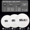 Select Numero 10 V22 Soccer Ball, All White, Size 5