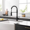 GIMILI Black Kitchen Faucet with Pull Down Sprayer Single Hole