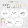 【NZ-base】 NZ-base Hair Roller 【Supervised by Active Beautician】 3 cm