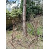 Master Garden Products WCT-36 Willow Circular Trellis, 24 by 36-Inch,