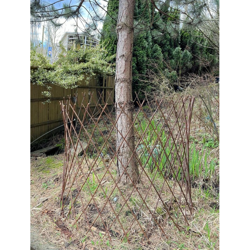 Master Garden Products WCT-36 Willow Circular Trellis, 24 by 36-Inch,