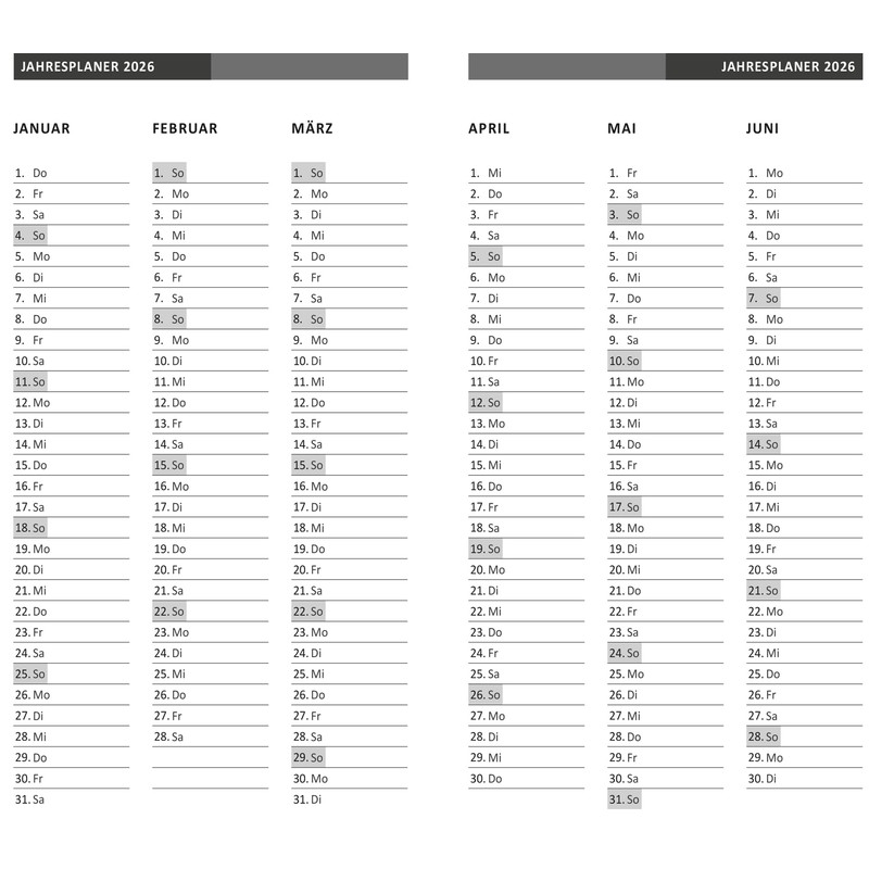 Idena 12060 Pocket Diary 2026 in Format 10 x 16.5