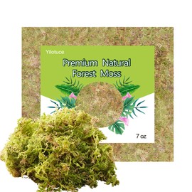 Yilotuce 7 oz Natural Orchid Moss for Potted Plants, Nice Soilless Potting Soil for Seedling and Cutting, Good Idea for Reptile Terrarium, Crafts, Garden Decoration