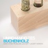 Tuuters Spice Rack Wooden Spice Rack with Test Tubes and
