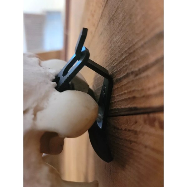 Large European Skull Hanger Wall Mount For Moose Buffalo Elk