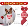 Bandana para perro del día de San Valentín, bufanda roja