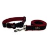 Preston Pirate Dog Collar and Leash Set - Skull and