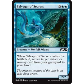 Salvager of Secrets - Foil