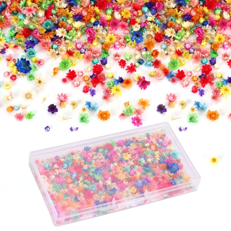 Neiang Dried Flowers for Resin Use, 400 Pieces Pressed Flowers,