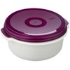 Emsa Micro Family 508455 Food Container Set 0.5 / 1.0
