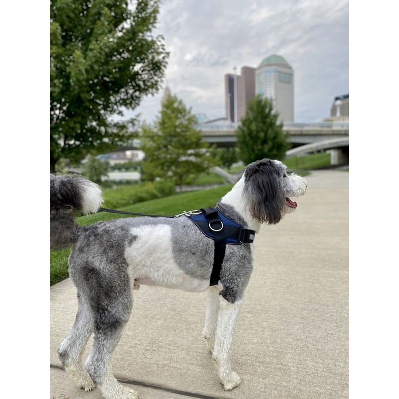 ShawnCo Essential Dog Harness, No-Pull Pet Vest with 3 Leash