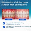 VITIS Gingival Toothpaste 100ml - daily care for sensitive gums