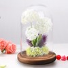 RayinblueTransparent Glass Plant Display Cloche Bell Jar Dome With Bamboo
