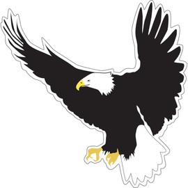 Barker Creek Double-Sided Cut-Outs with Name Tags, Sea & Sky, School Accents, Bulletin Boards, Party Decorations, Office, Home, Classroom Decor, 5.5" Wide, 30 Accents & 15 Name Tags per Pkg (2211)