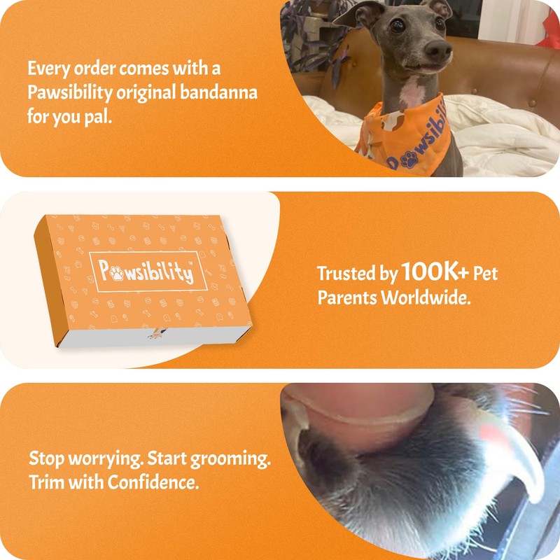 Pawsibility Pet Nail Clipper PRO 2026 -​​ ​​Quick-Vision LED Light