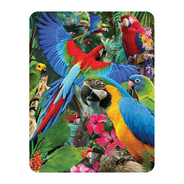 3D LiveLife Magnet - Parrot Pandemonia from Deluxebase. Lenticular 3D