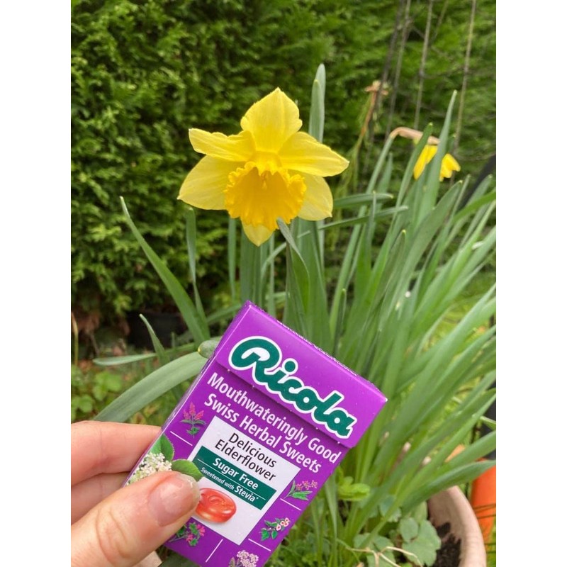 Ricola - Elderflower - 45g