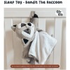 Riff Raff Bandit Raccoon Baby Sleep Sooth Lullaby White Noise
