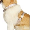 Nylon No Pull Dog Harness with Gold Metal Buckles,Easy Walking