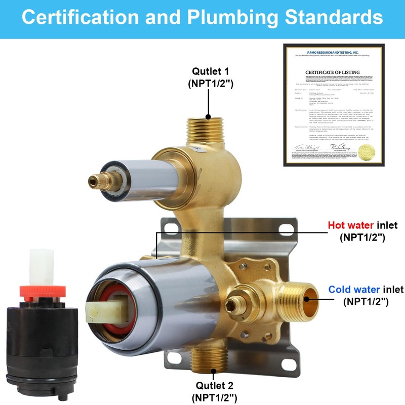 Homekicen 2-Way Shower Diverter Valve, Pressure Balancing 2 Outlet Multi