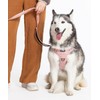 2025 New Edition, Fei & Eve Classic Dog Harness -