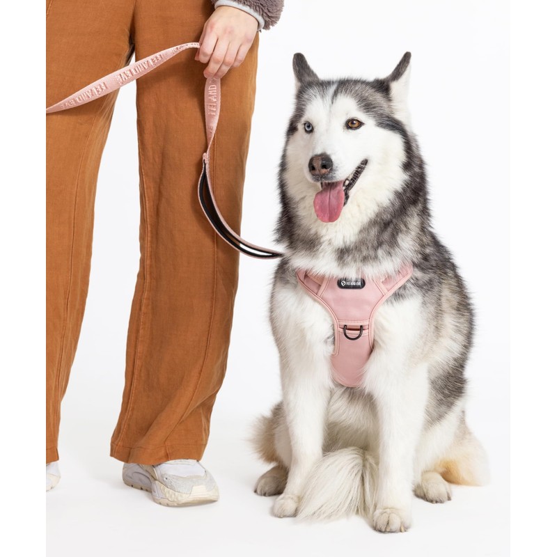 2025 New Edition, Fei & Eve Classic Dog Harness -