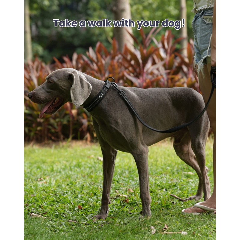 Kaka Mall Adjustable, Breathable, Reflective Nylon Dog Collar