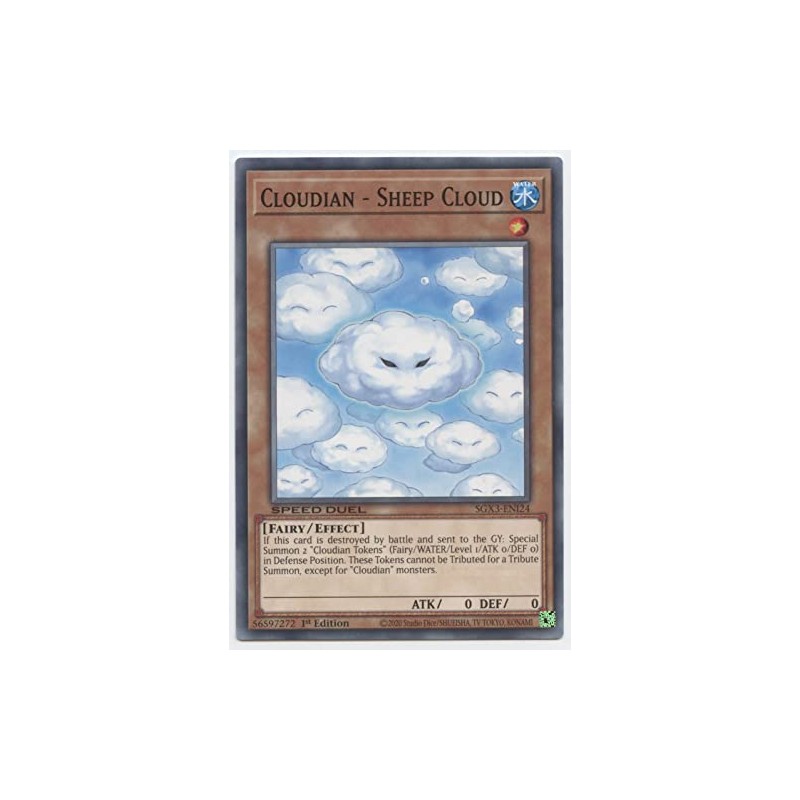 Cloudian - Sheep Cloud - SGX3-ENI24 - Common - 1st