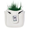 Caddy Club Golf Headcovers – JOKER Mallet Putter Cover –