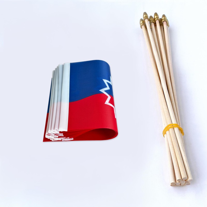 TSMD Juneteenth Stick Flag Small Mini June 19th 1865 Black