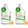 Generic Swedish Super Kids Multivitamin Age 3+, Orange Flavour, 2