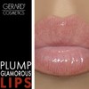 Kiss Assist Lip Plumper by Gerard Cosmetic for Women –
