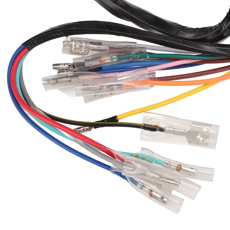 Vehicle Complete Main Electrical Wiring Harness with Connectors Automotive Replacement
