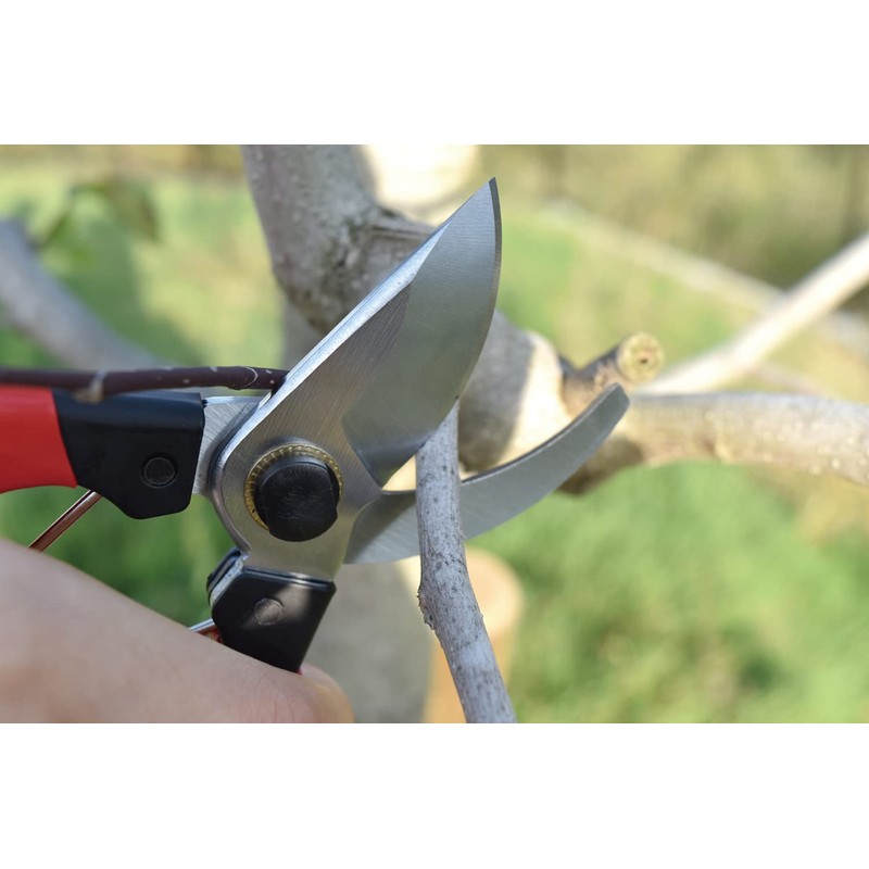 Senkichi SGP-49 Small Pruning Shears, 7.1 inches (180 mm)