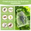 100 Pieces Green Fruit Protection Bags Fruit Protection Bags Fruit