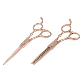 Beavorty Hair Cutting Scissors Kit 6 Inches 2pcs Professional Hair Thinning Scissors for Stylists